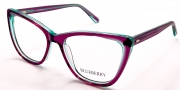Оправа жіноча пластикова Blueberry HL8016 C2_BL35